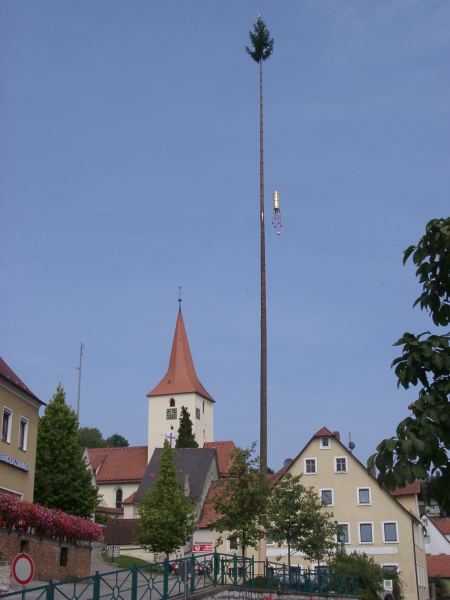 Der Alfelder Kirchweihbaum 2002